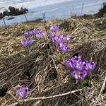 Nyaraló Romanticka Drevenica Terhely