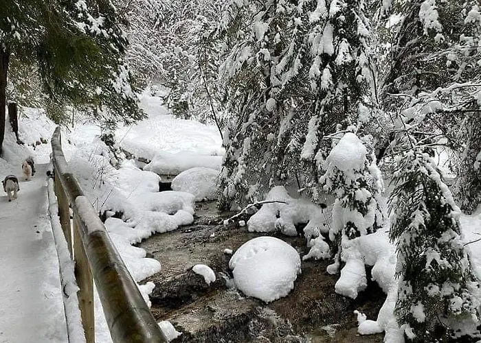 Romanticka Drevenica Prázdninový dům Terchová